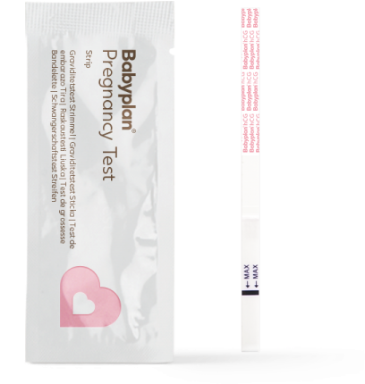 Pregnancy Test Kitand Strip PNG