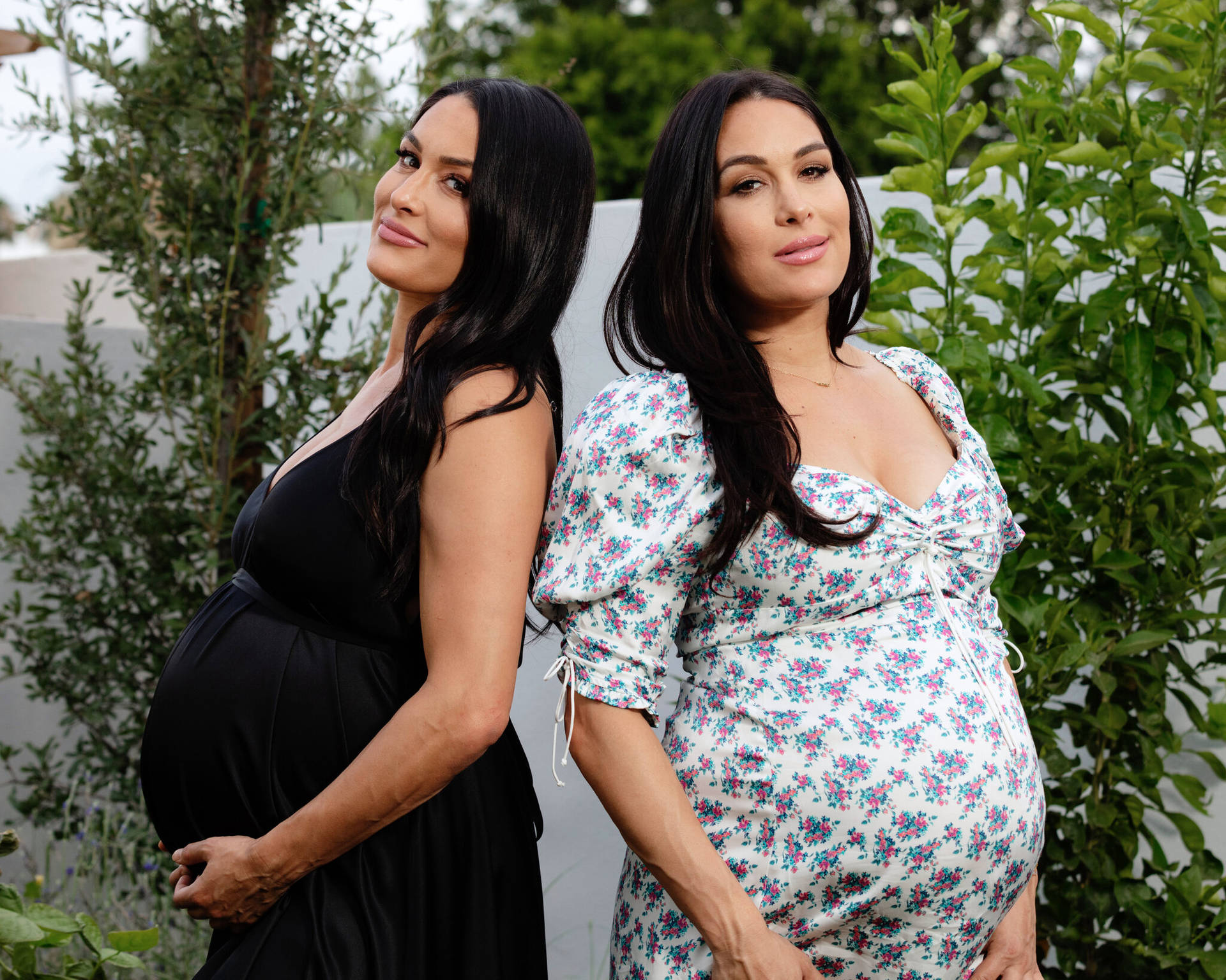 Pregnant Bella Twins Wallpaper
