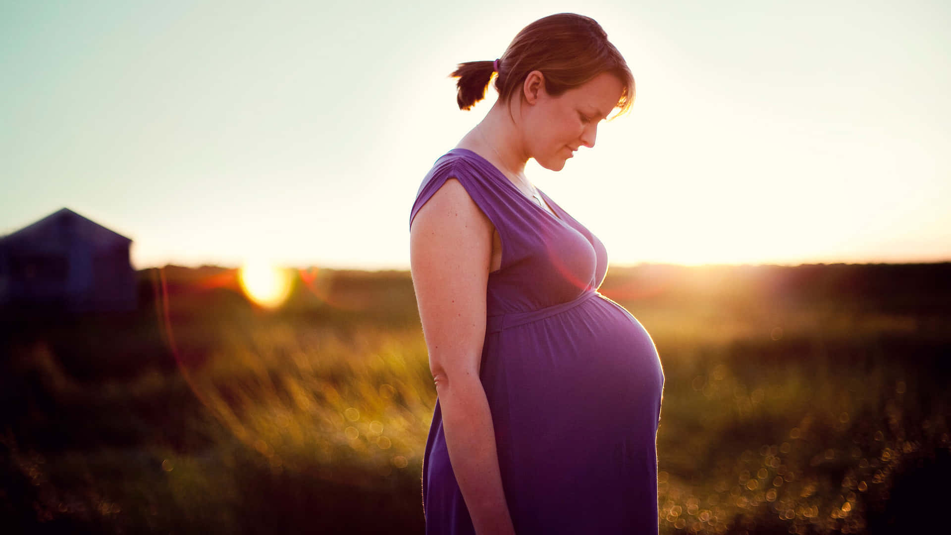 Gravid kvinde i lilla kjole. Wallpaper