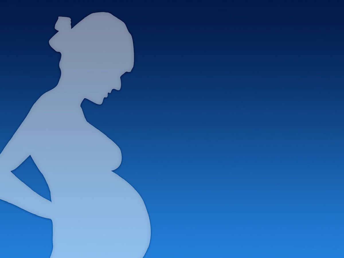 Pregnant Woman Outline Blue Digital Art Wallpaper
