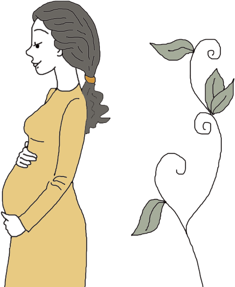 Pregnant Womanand Plant Illustration PNG