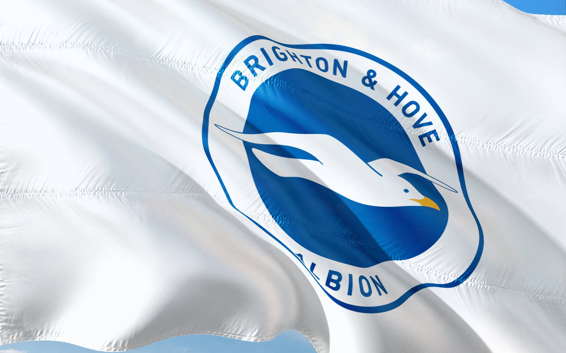 Premier League Brighton And Hove Albion Wallpaper