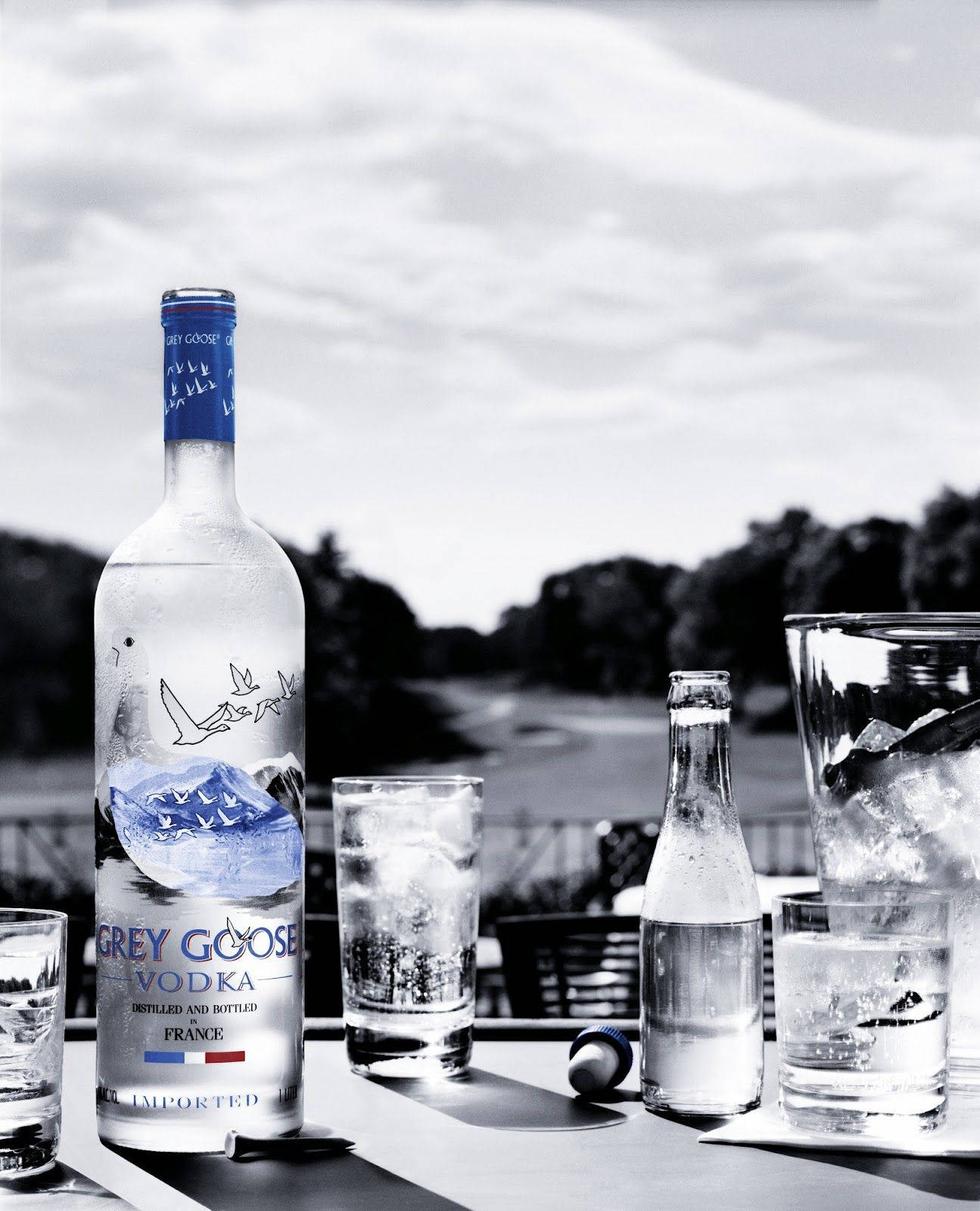 Alcoholfrancés De Primera Calidad: Vodka Grey Goose Fondo de pantalla