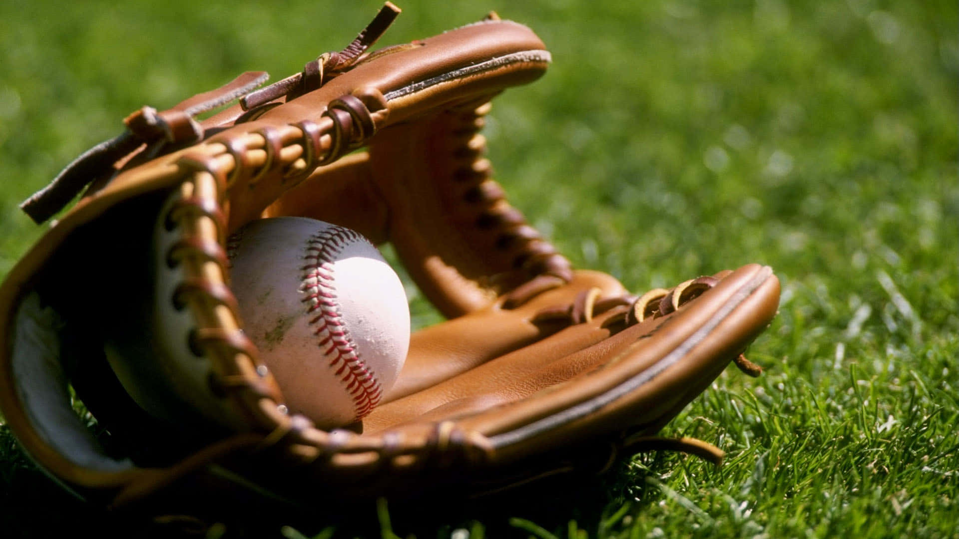 Premium Leather Baseball Glove Close-up Wallpaper