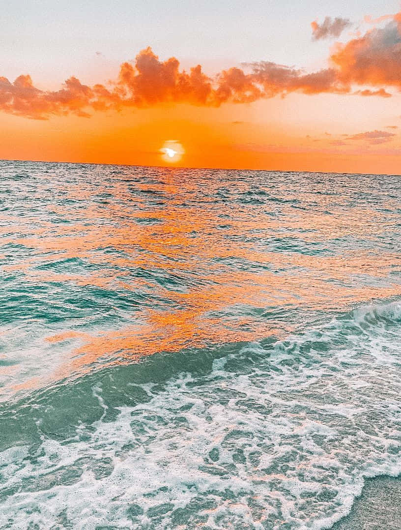 ocean wave sunset