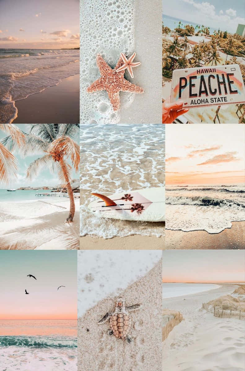 Preppy Beach Aesthetic Collage.jpg Wallpaper