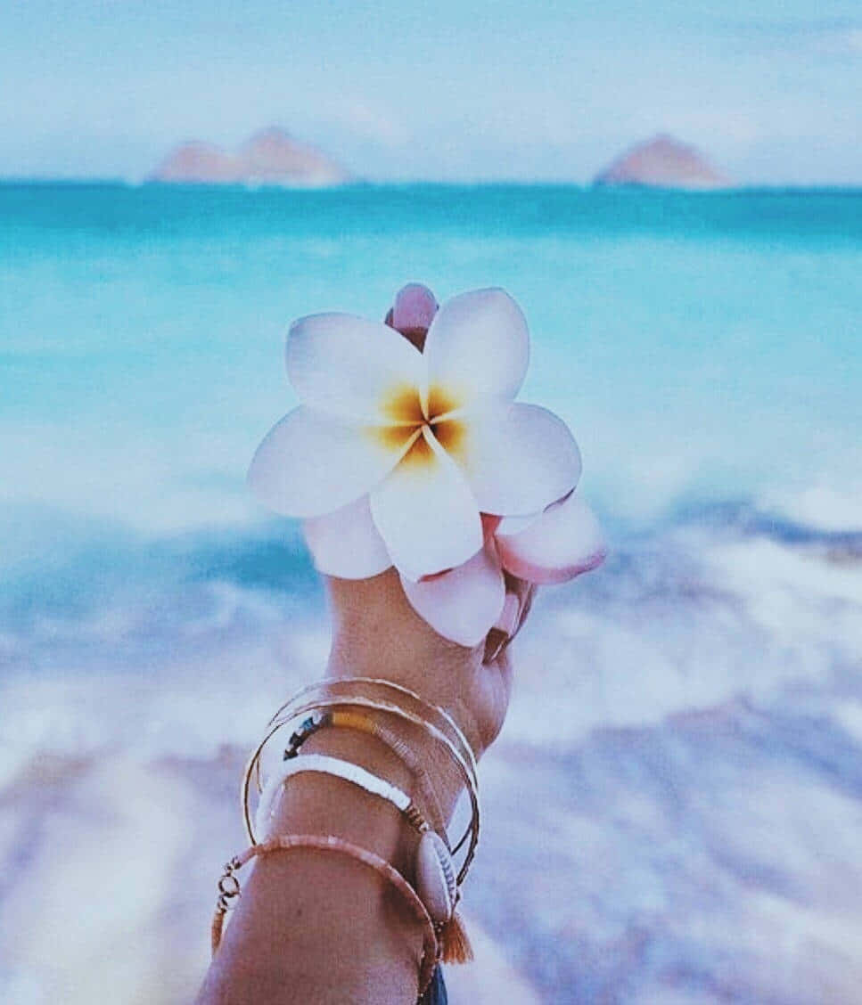 Main De Fleurs De Plumeria Sur La Plage Fond d'écran