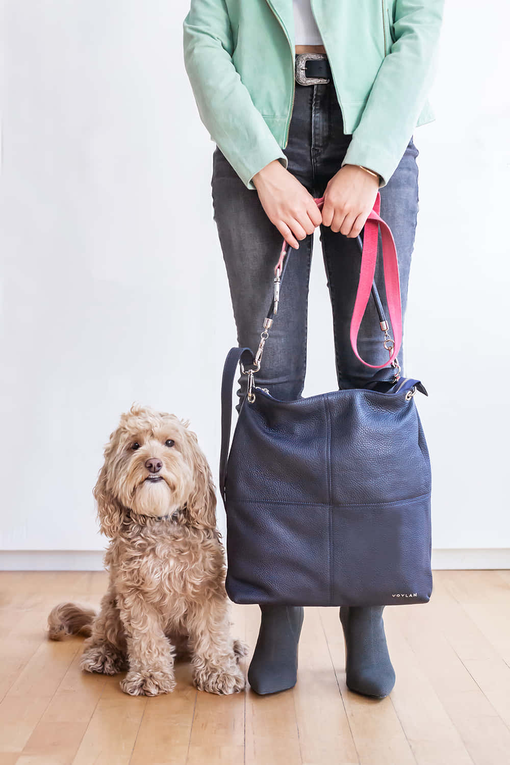 Preppy Dog With Owner Ready For Walk Wallpaper