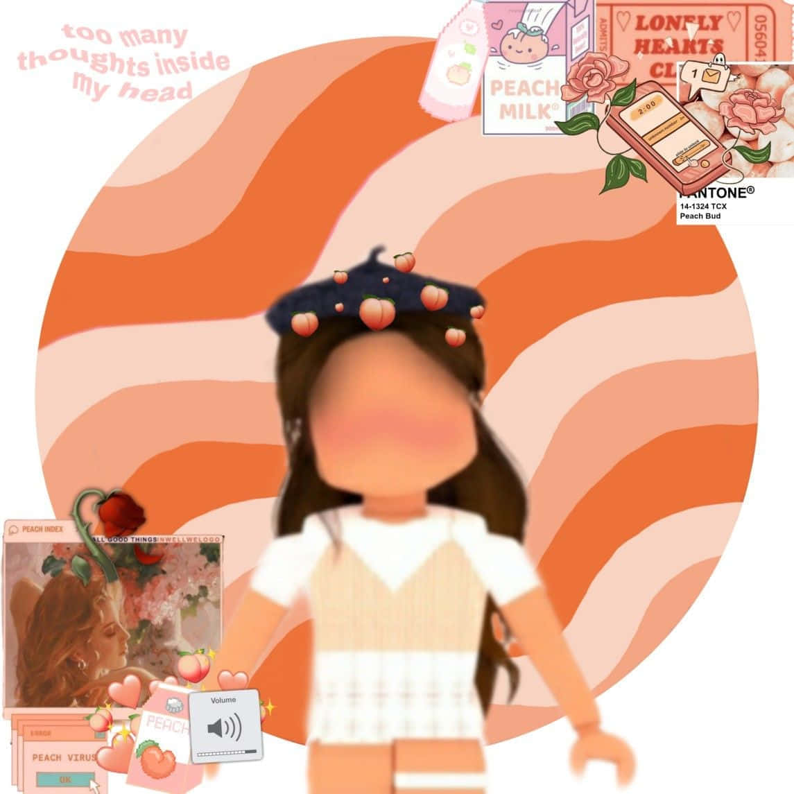 Preppy Girl Aesthetic With Peachy Vibes Wallpaper
