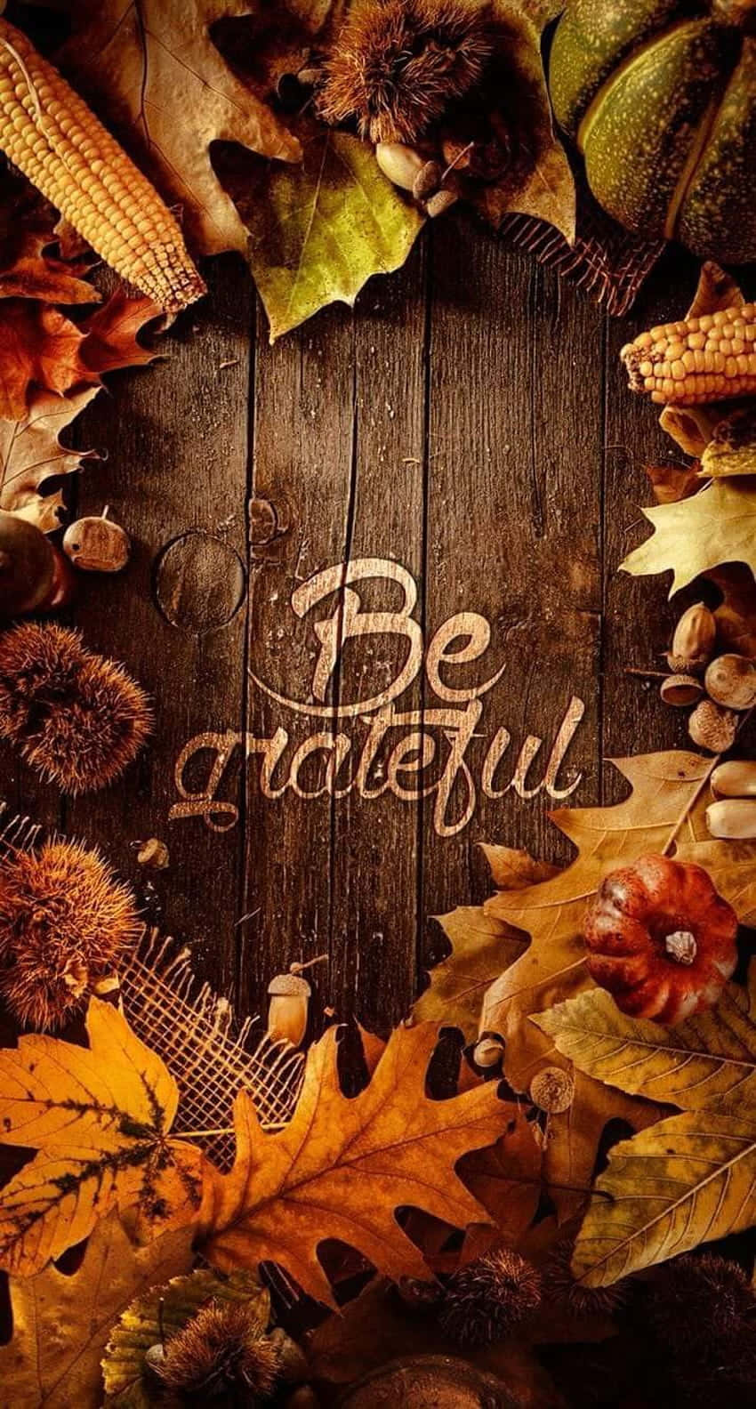 Preppy Thanksgiving Be Grateful Backdrop Wallpaper