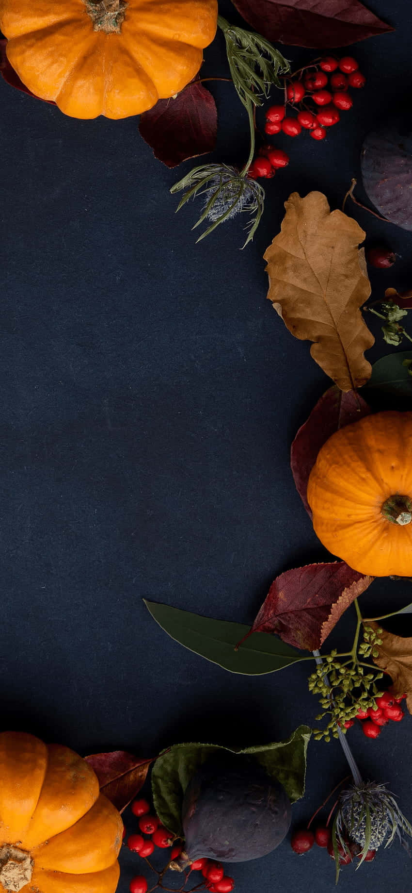 Preppy Thanksgiving Pumpkin Arrangement Wallpaper