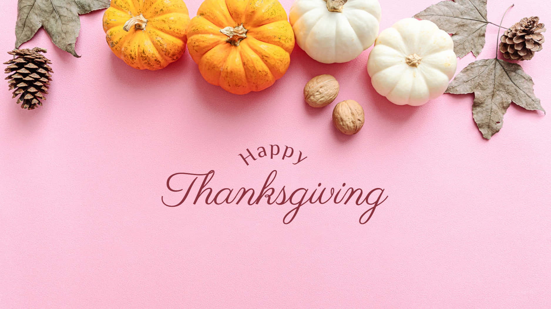 Preppy Thanksgiving Pumpkins Pink Background Wallpaper