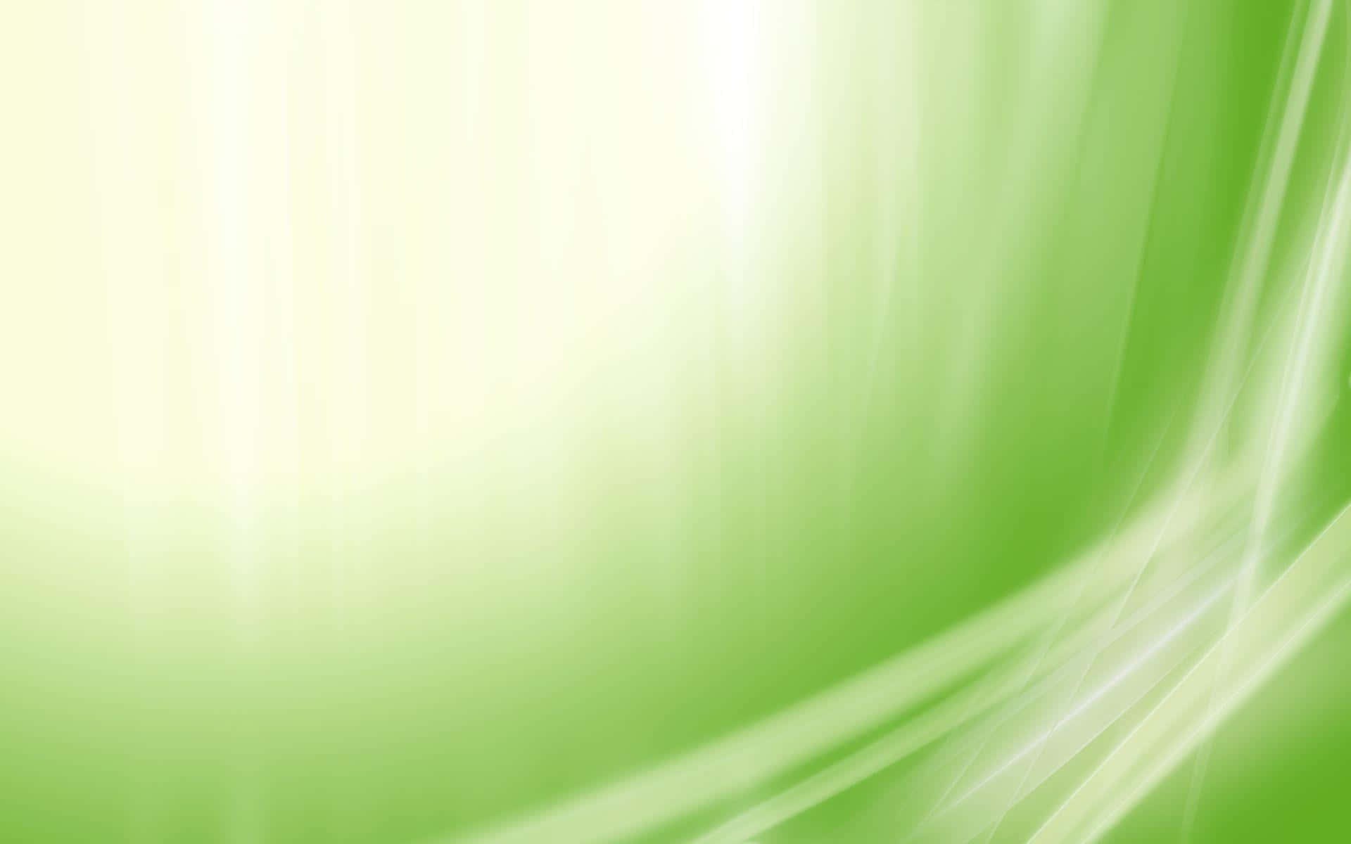 Green Abstract Background With White Lines
