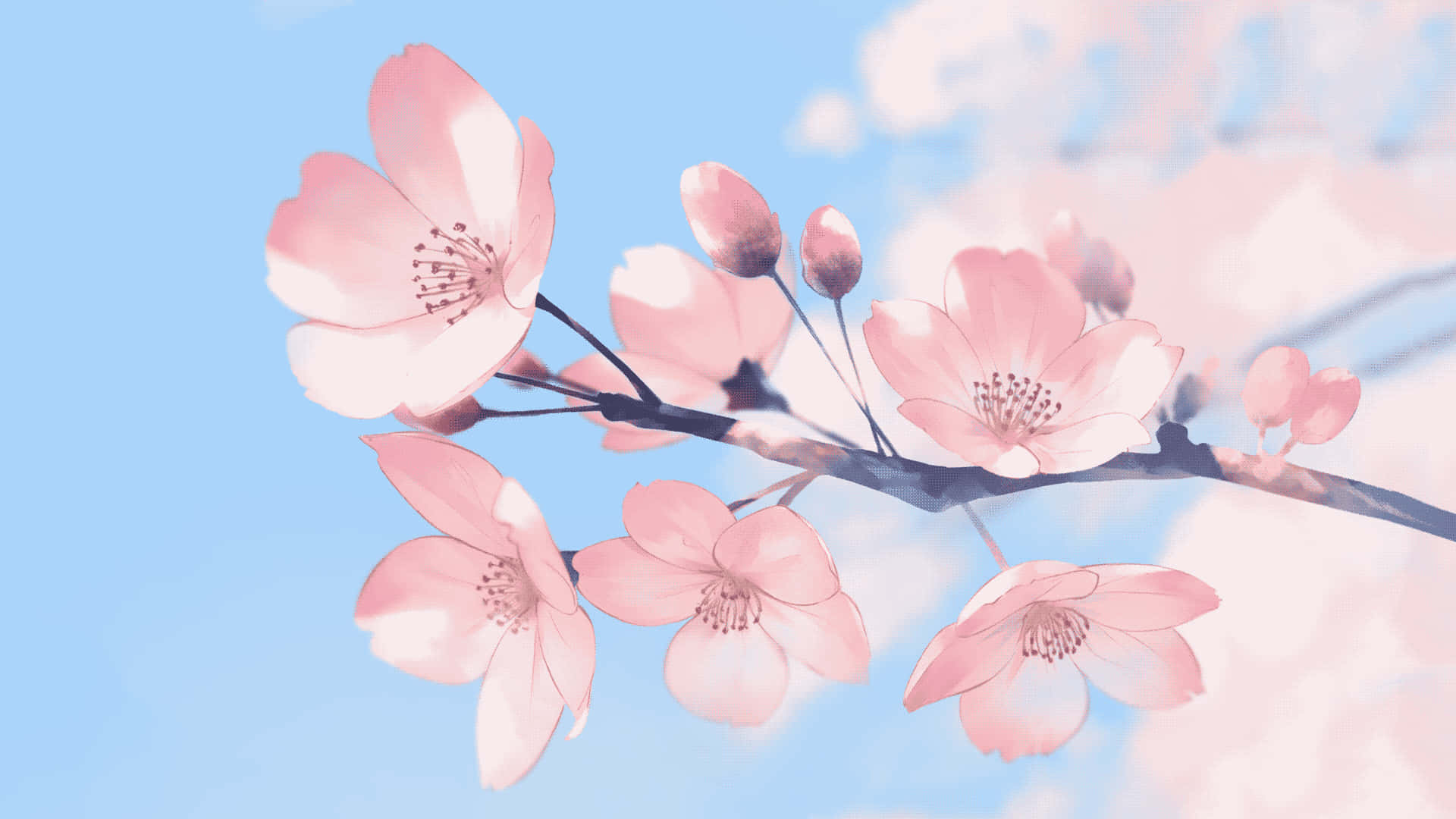 En pink blomstergren med blå himmel bag den Wallpaper