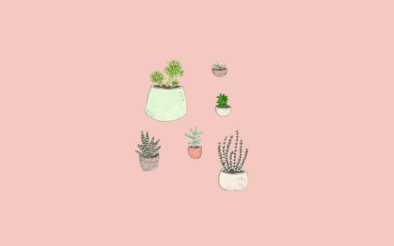 En pink baggrund med en masse planter i potter Wallpaper