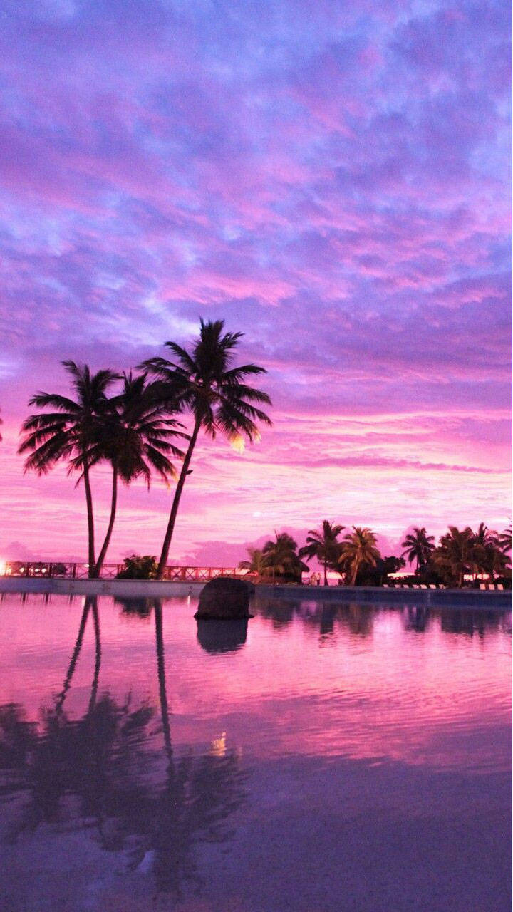 Pretty Aesthetic Pink Tropical Place Wallpaper