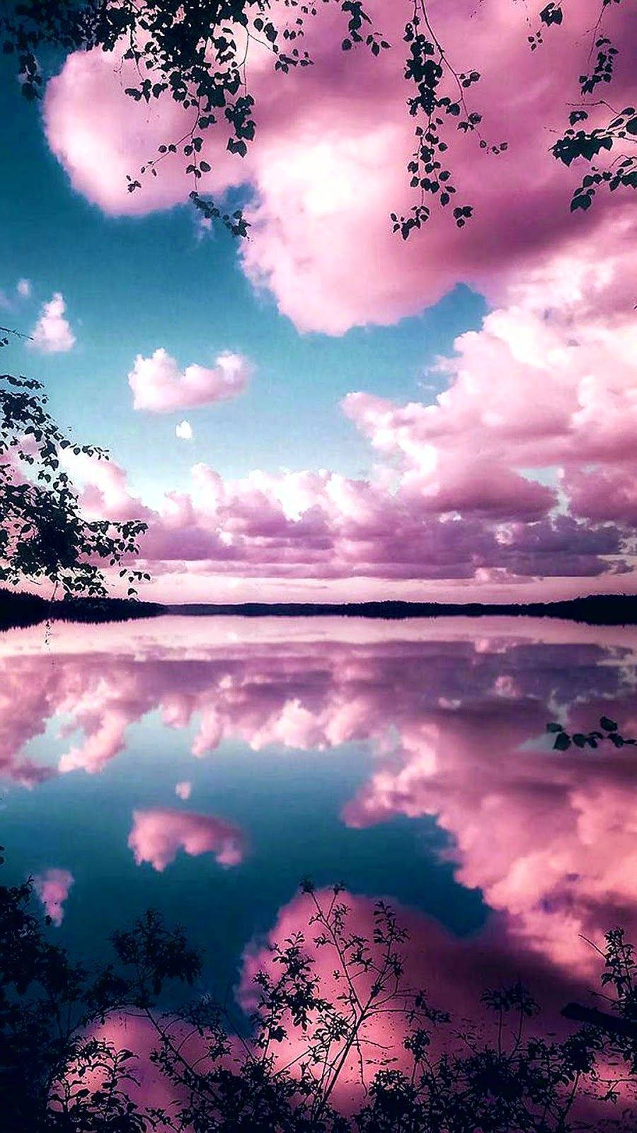 Pretty Background Phone Pink Clouds Lake Background