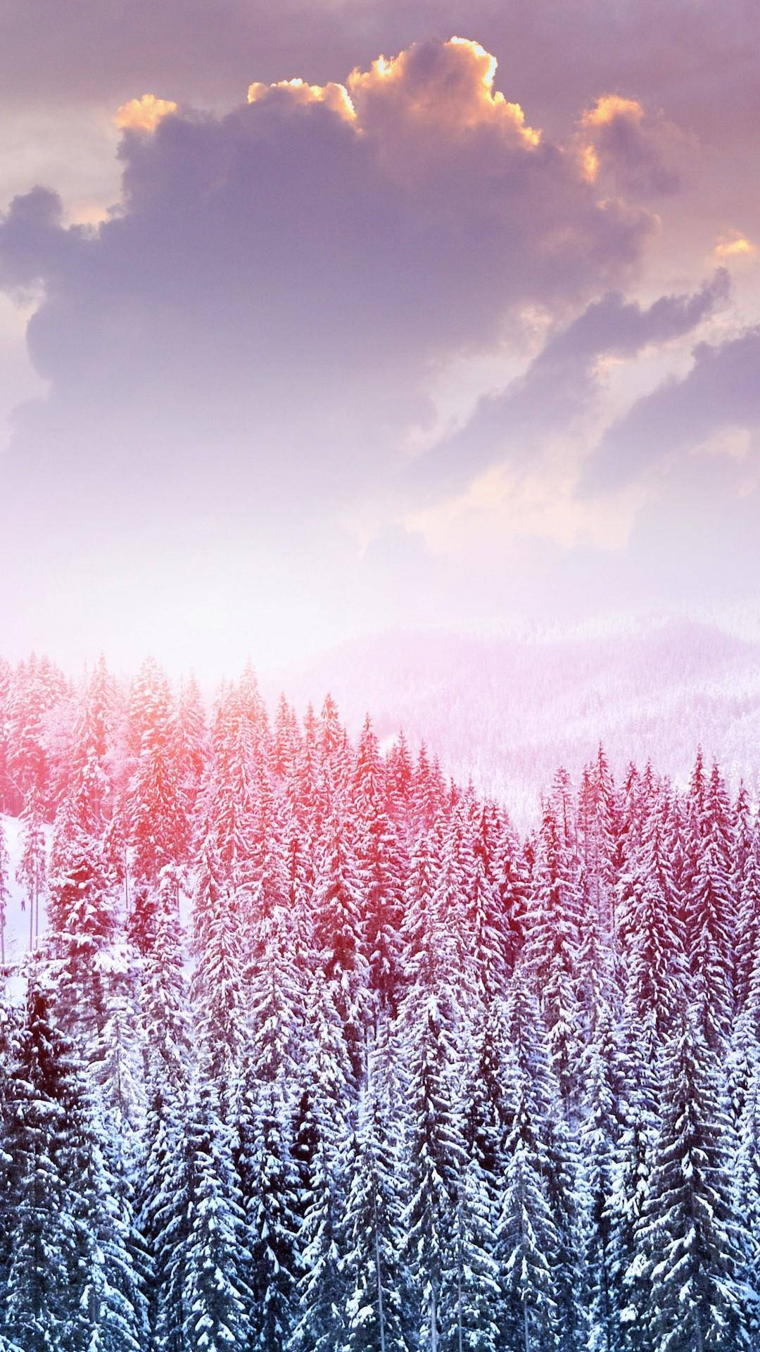 Pretty Background Winter Forest Pink Sky Background