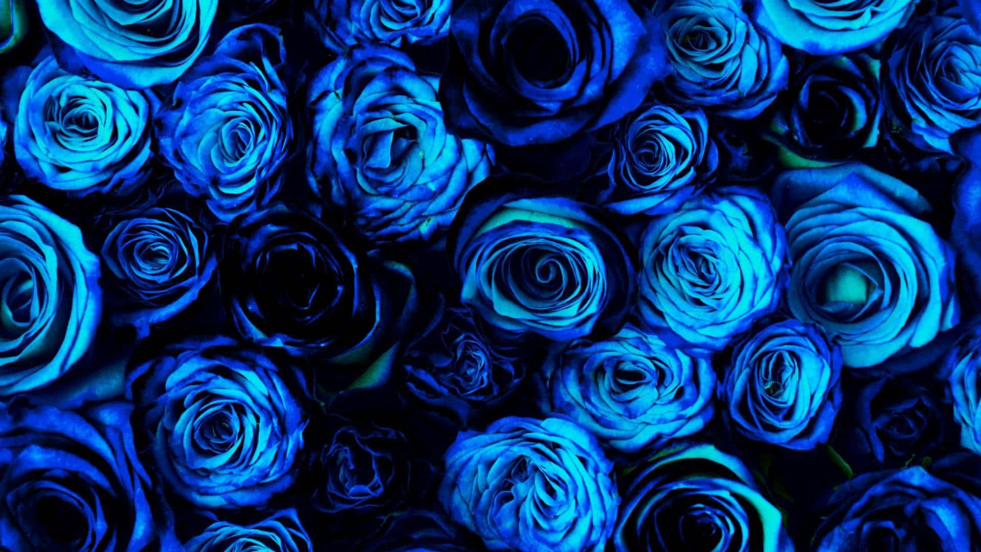 Tauchensie Ein In Die Faszinierenden Blautöne Mit Diesem Mitreißenden Hübschen Blauen Hintergrundbild.