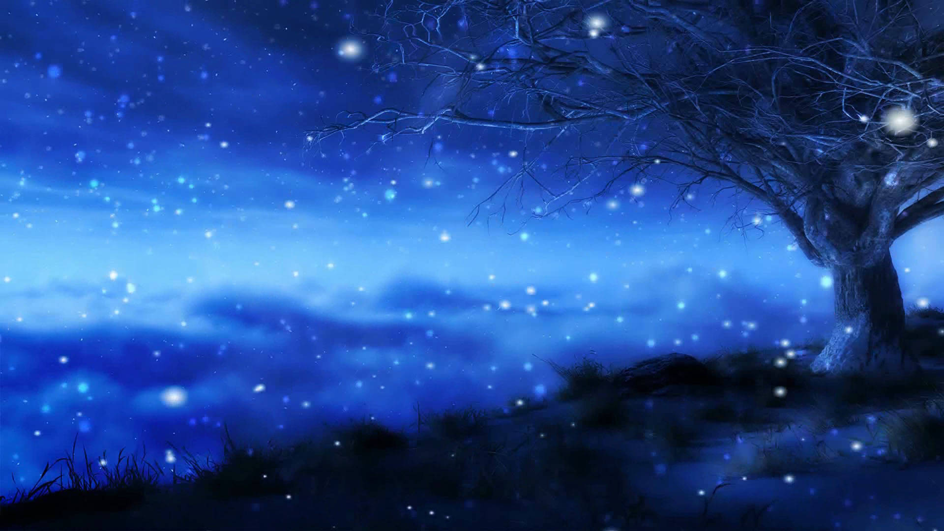 Hübschblau Während Einer Schneebedeckten Mitternacht Wallpaper
