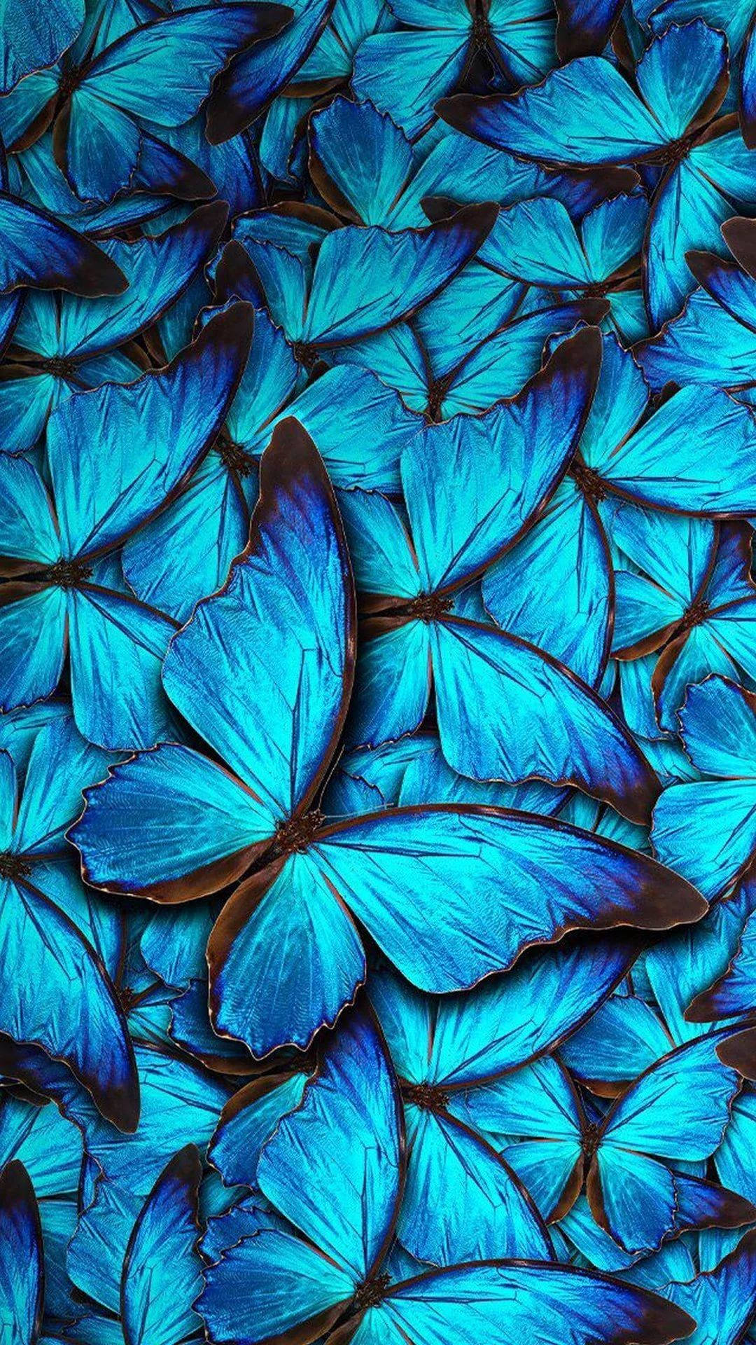 Ganskablå Fjärilar Estetik. Wallpaper