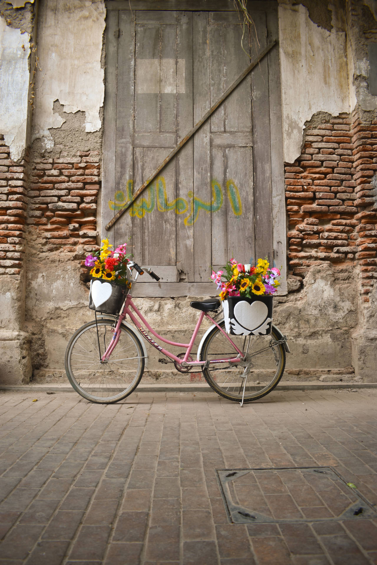 Pretty Cruiser Bike With Flowers Background