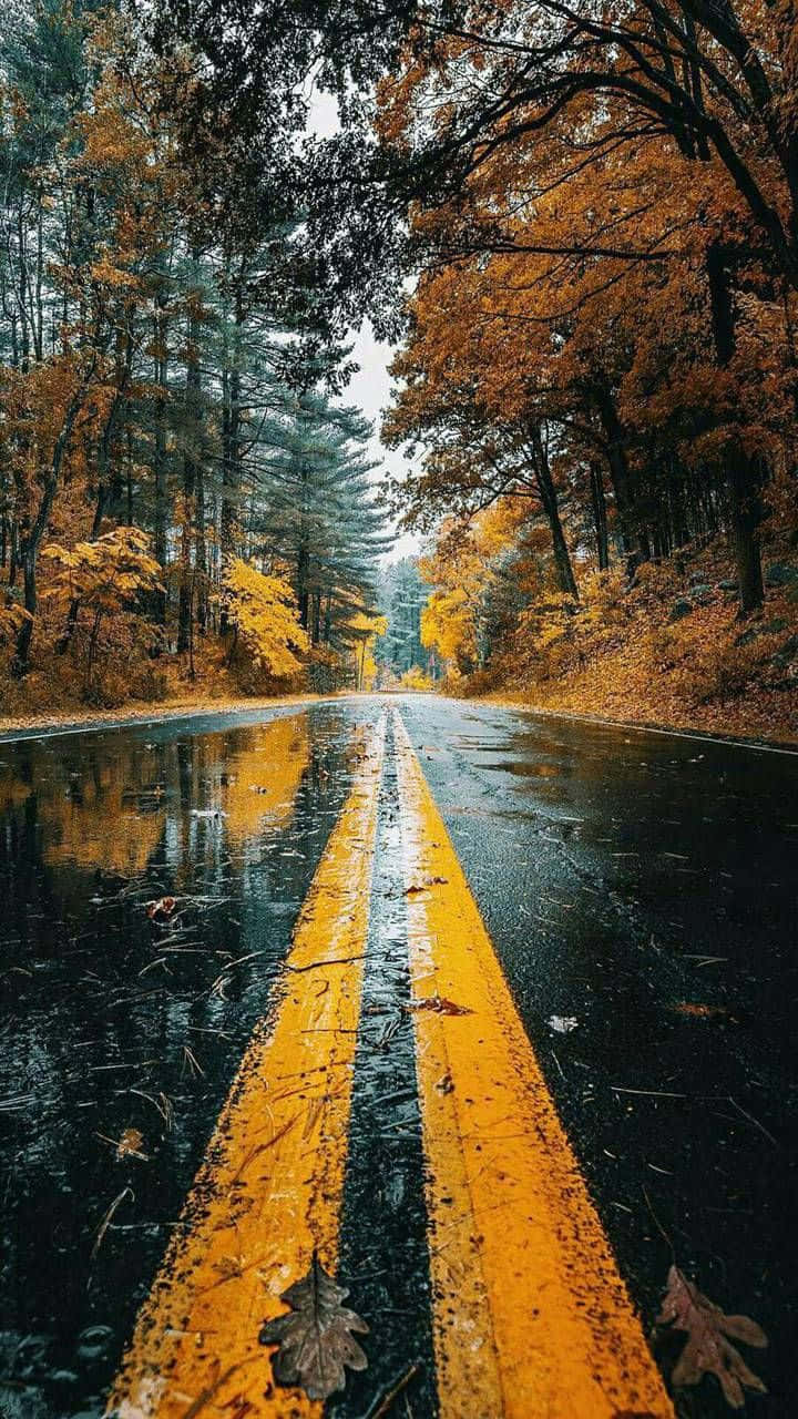 A Road With Yellow Lines In The Rain