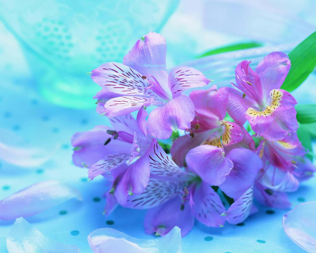 A beautiful bouquet of vibrant spring flowers Wallpaper