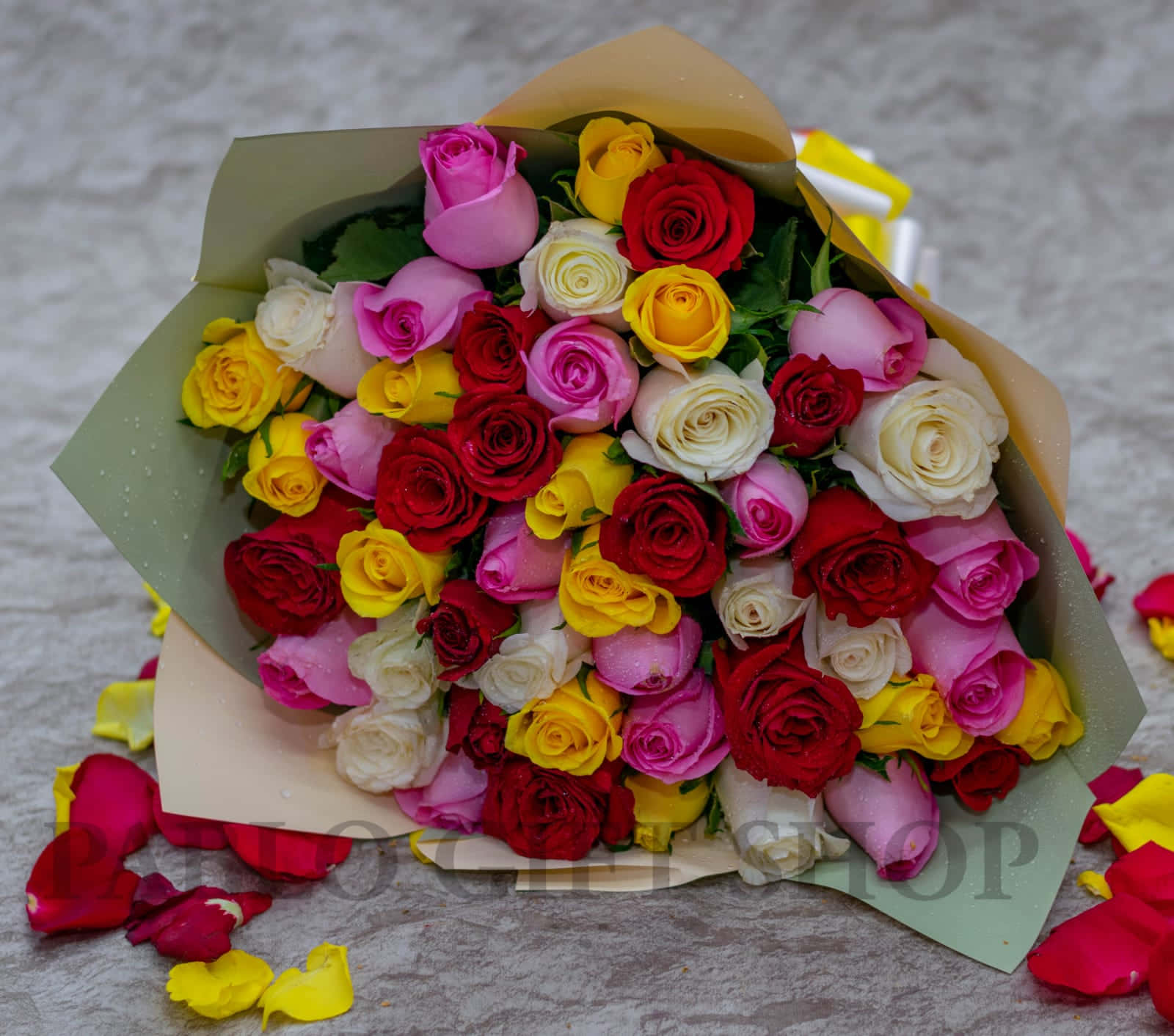 "Blooming Beauty: A Close-Up of a Pretty Flower"