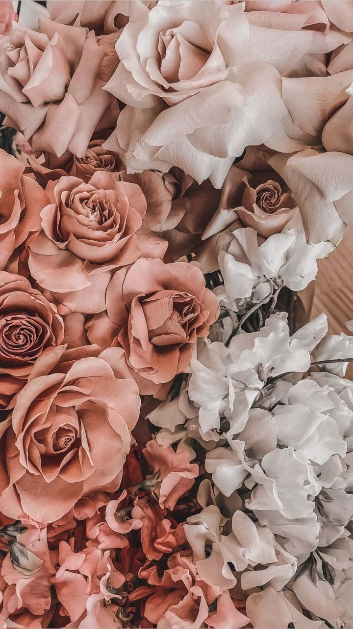 Rosaer i en vase på et træbord Wallpaper