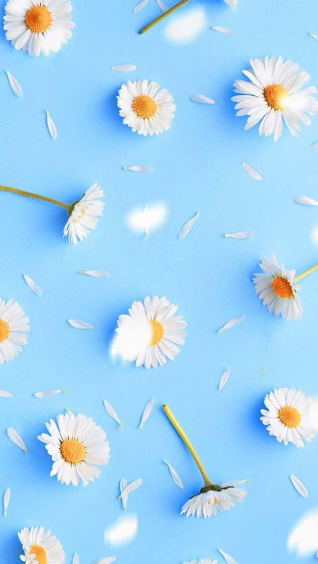 A White Flower Pattern On A Blue Background Wallpaper
