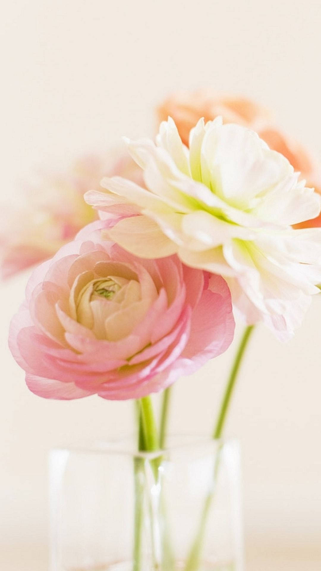 Pretty Flowers In Clear Flower Vase Wallpaper
