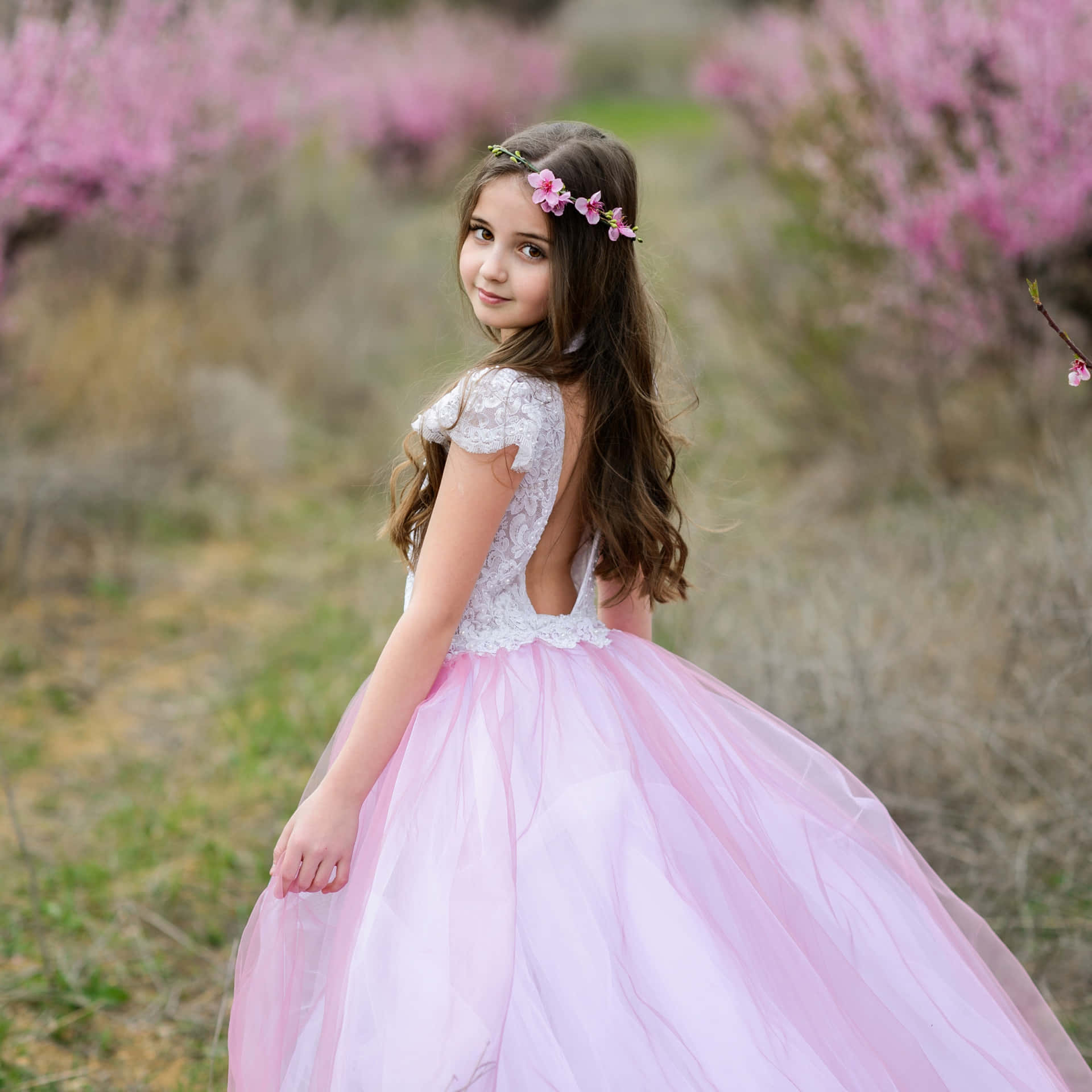 Pretty Girl In A Pink Princess Dress Background