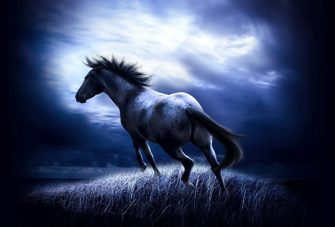 “A Magnificent Pretty Horse Running Freely in a Field”