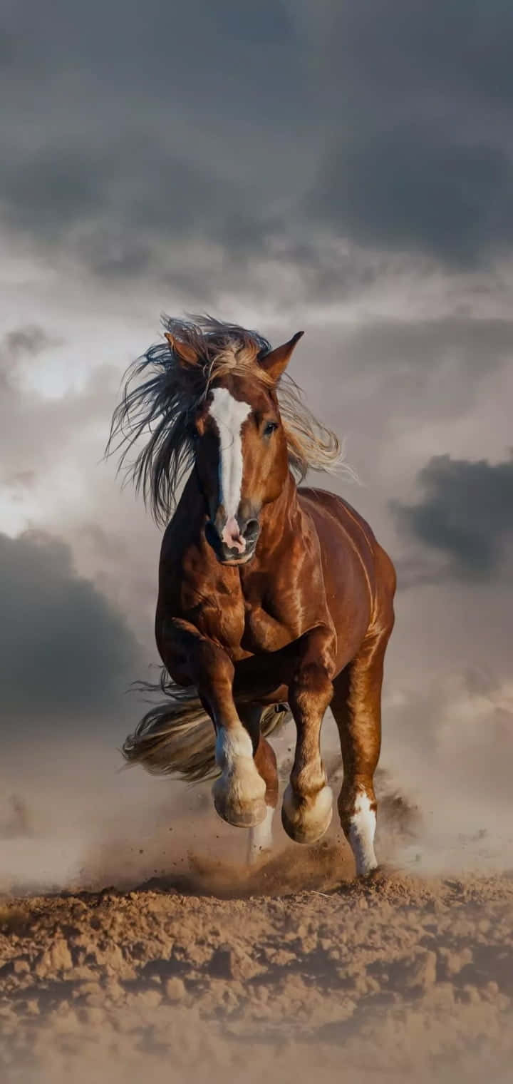 A Horse Running Through The Desert With A Cloudy Sky