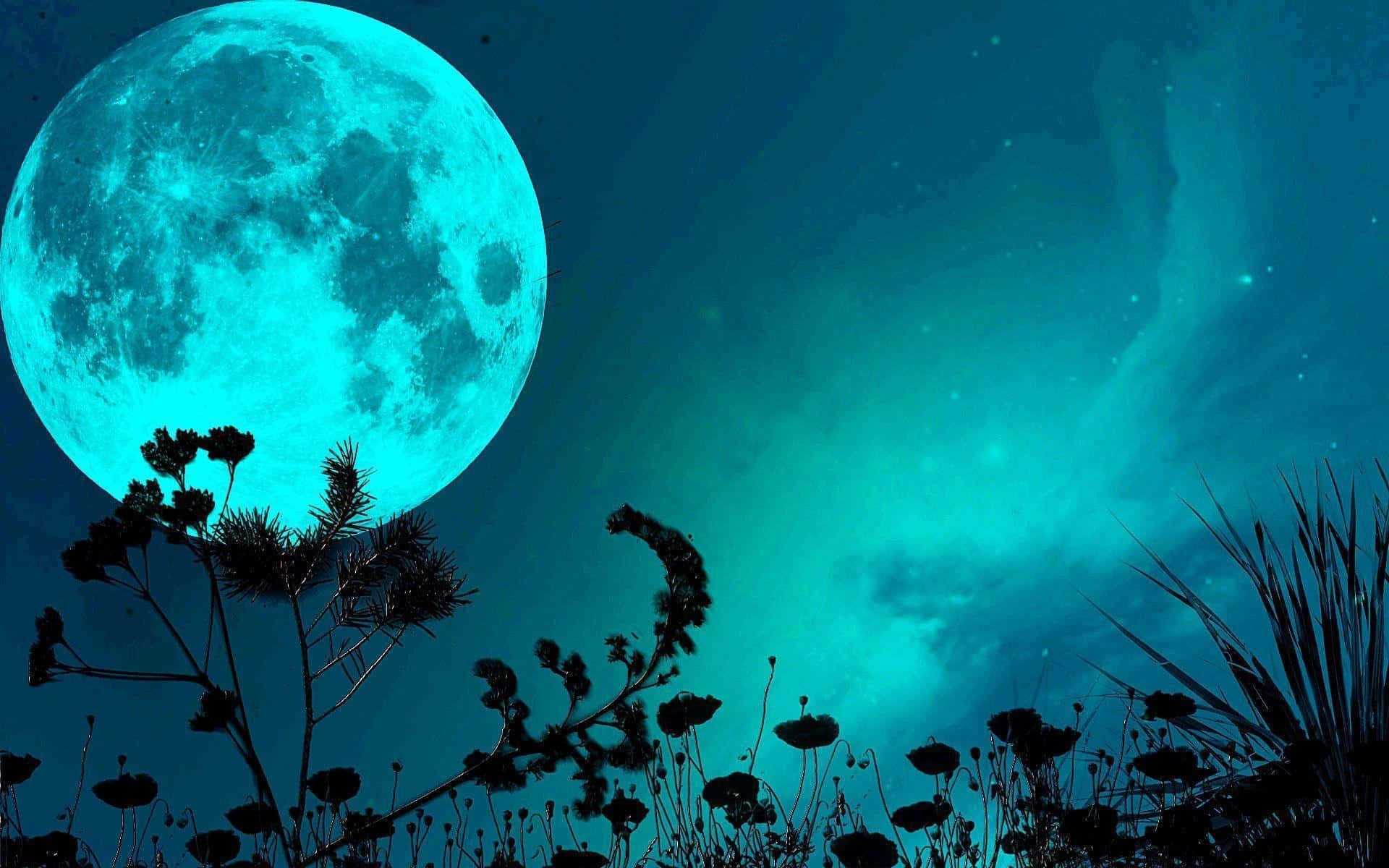 Envacker Nattutsikt Med En Vacker Måne