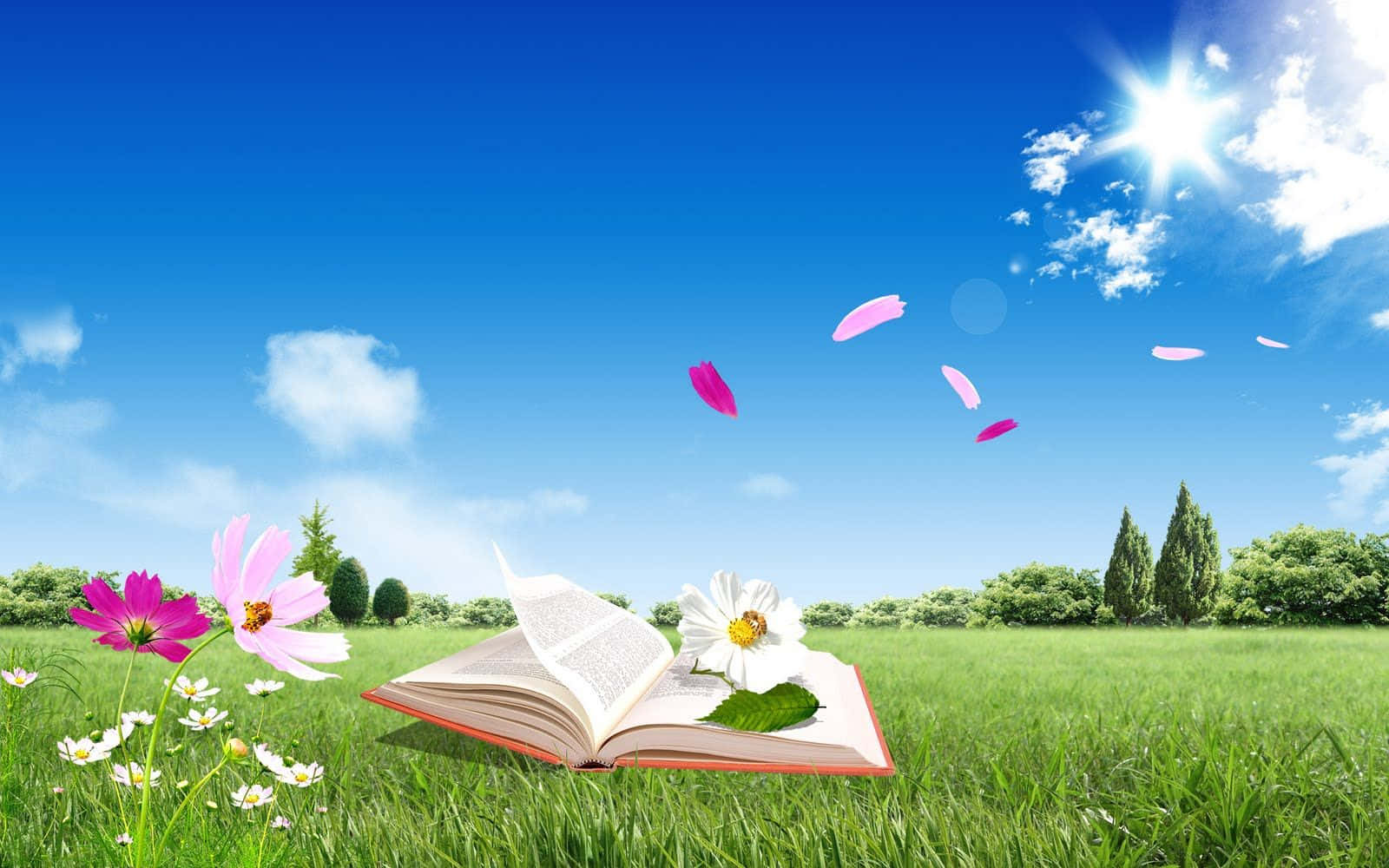 Book With Petals Flying Pretty Nature Picture