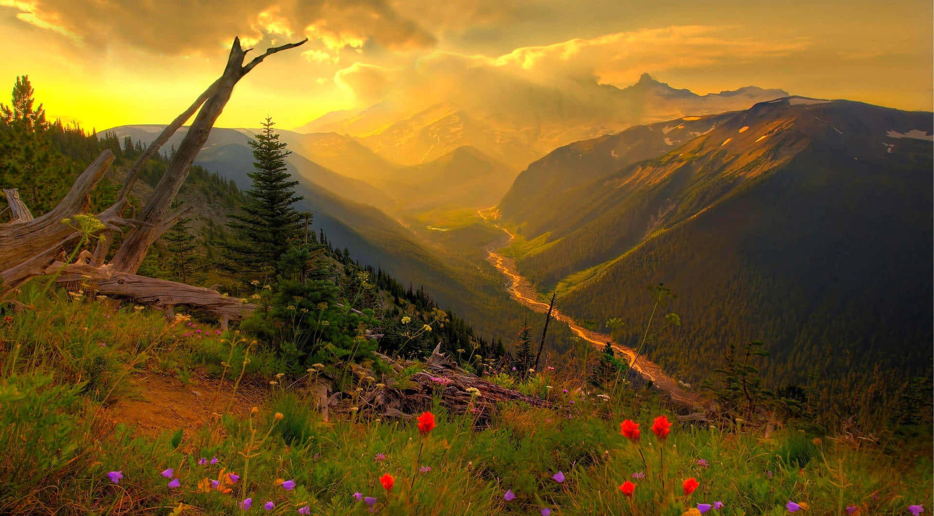 Sunset Mountain With Flowers Pretty Nature Picture