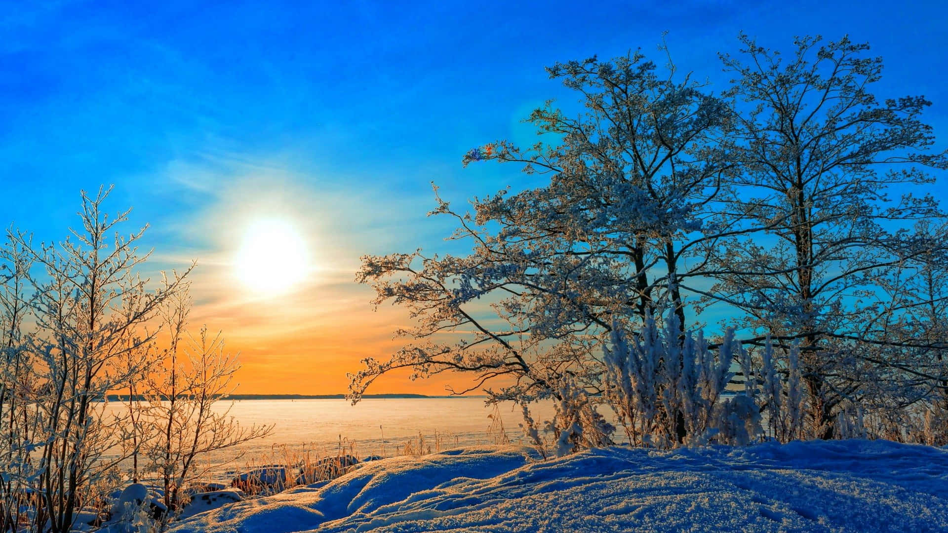 Snöigskog Solnedgång Himmel Vacker Naturbild
