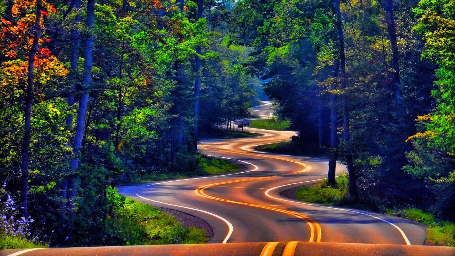 Curved Road In Woods Pretty Nature Picture