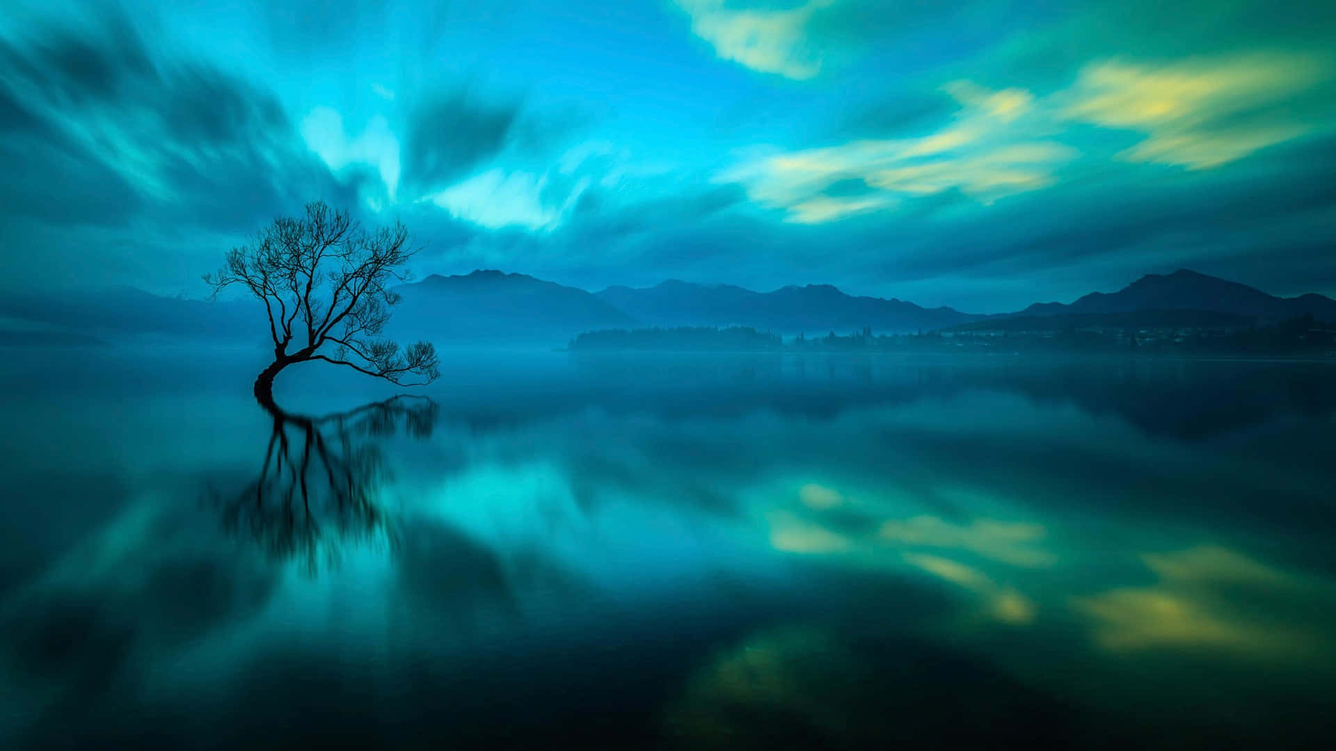 Ensamträd Med Blå Himmel Vacker Naturbild