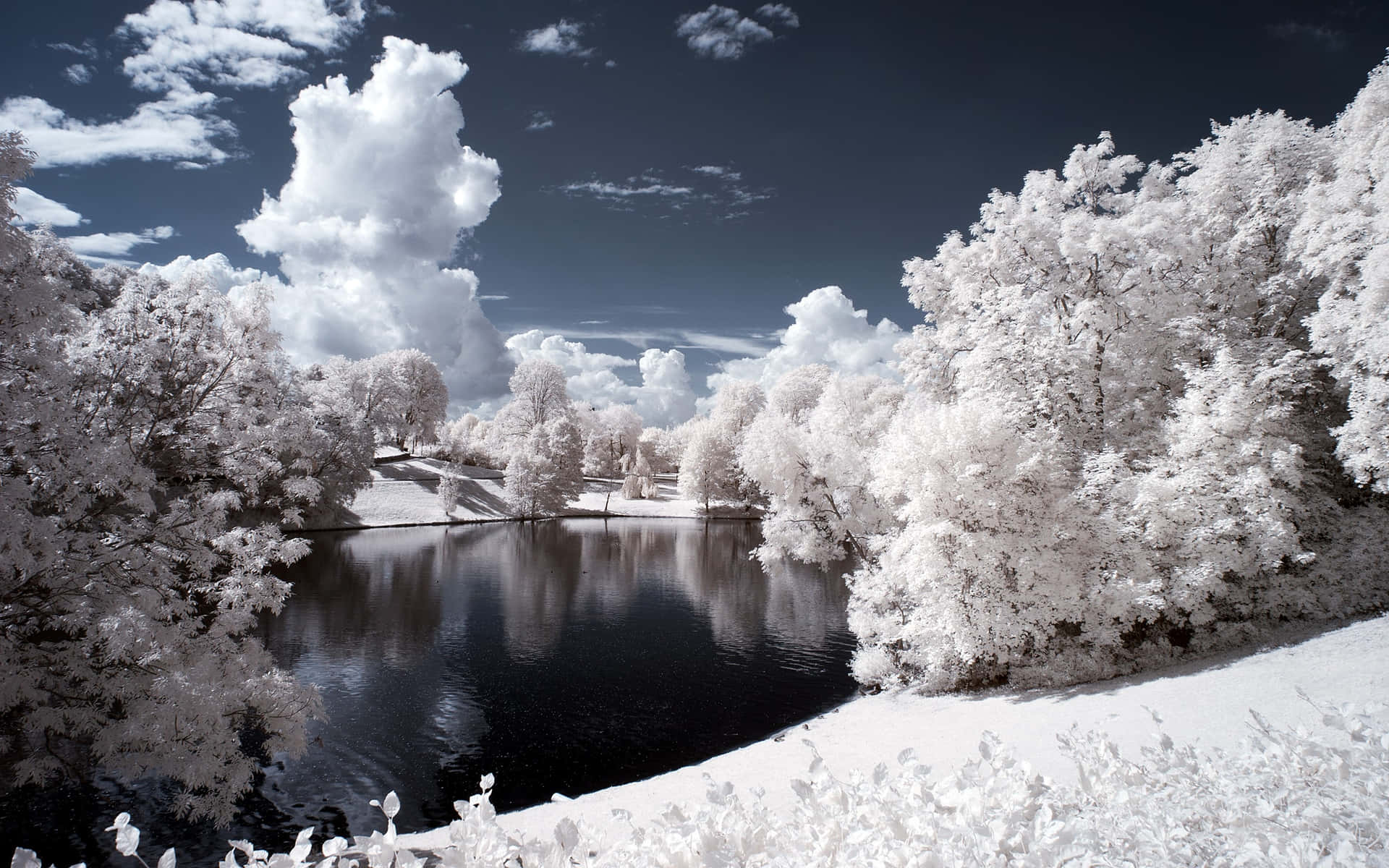 Infrared Photography Lake Pretty Nature Picture