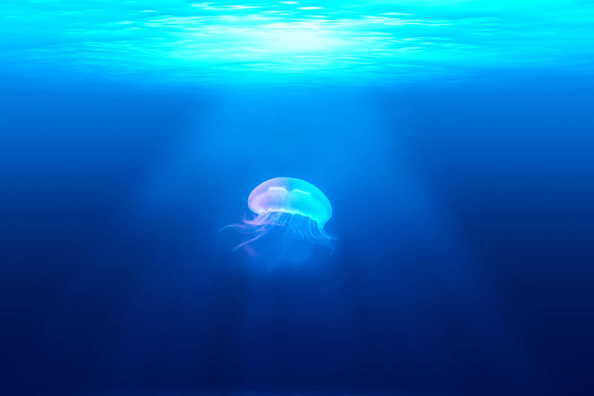 Elparaíso Azul Del Hermoso Océano. Fondo de pantalla