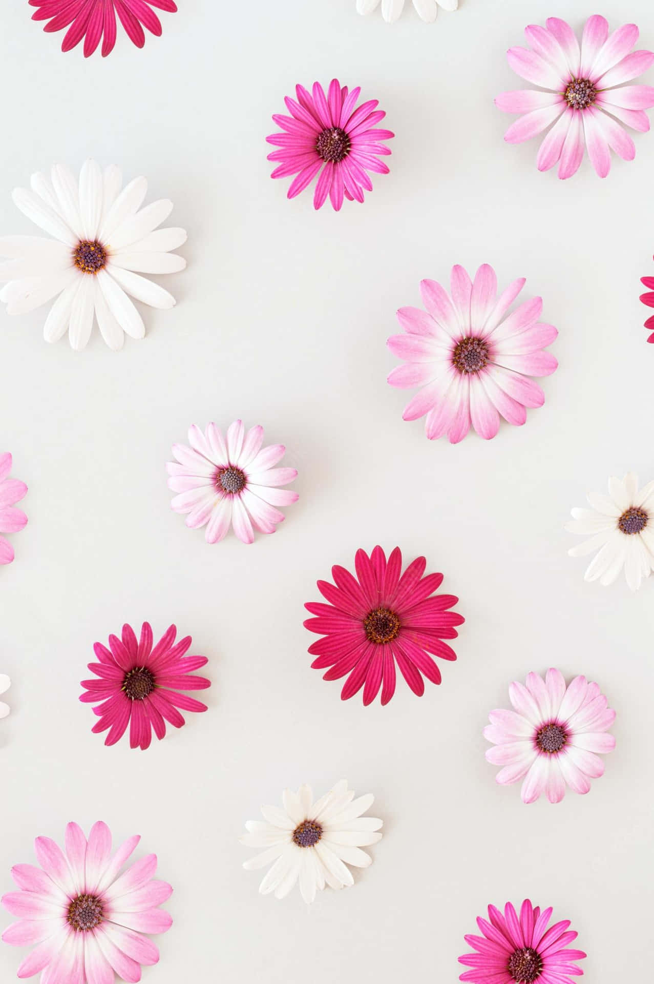 Exquisite Floral Phone Background