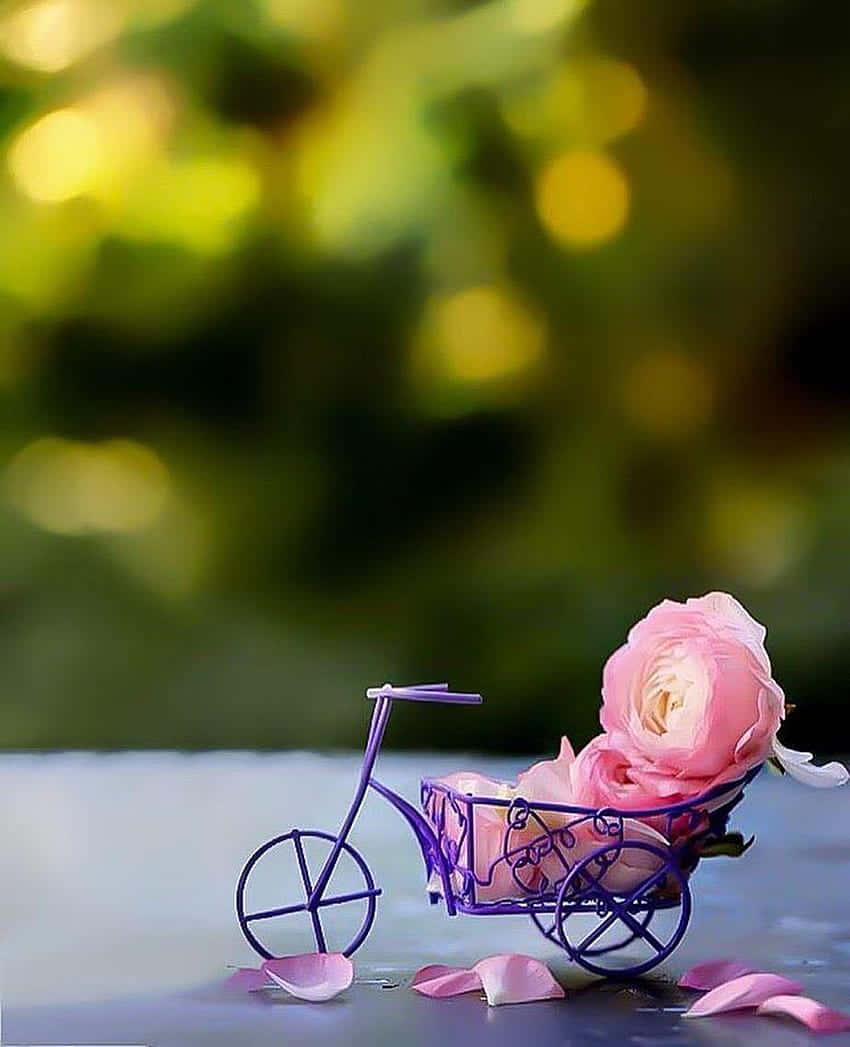 Imagende Perfil Bonita Con Una Mini Bicicleta Y Flores.