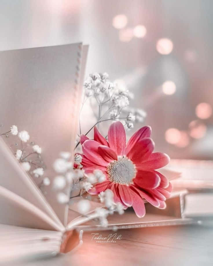 Roteund Silberne Blumen Schönes Profilbild
