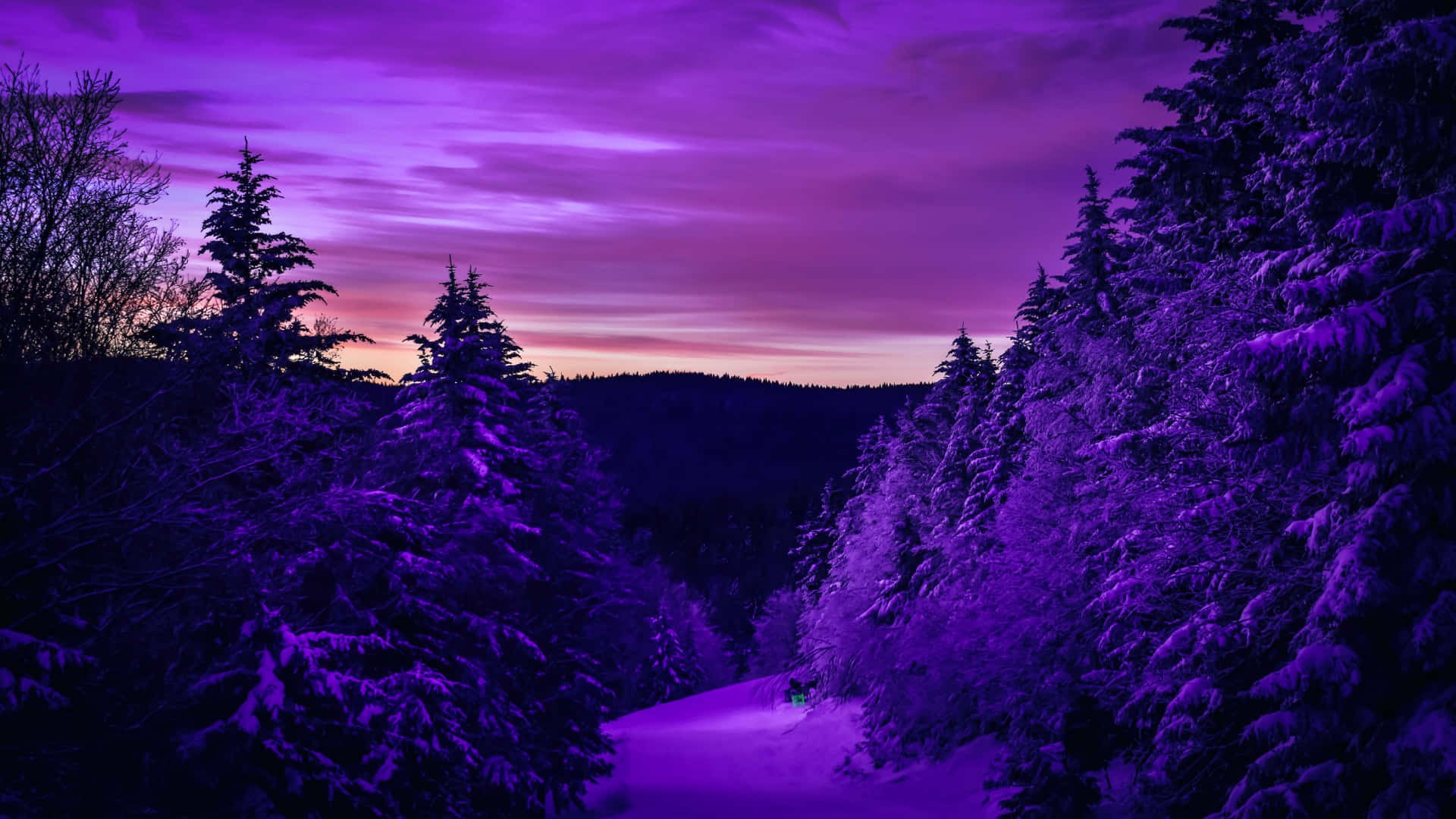 Pretty Purple Snowy Forest Twilight Wallpaper
