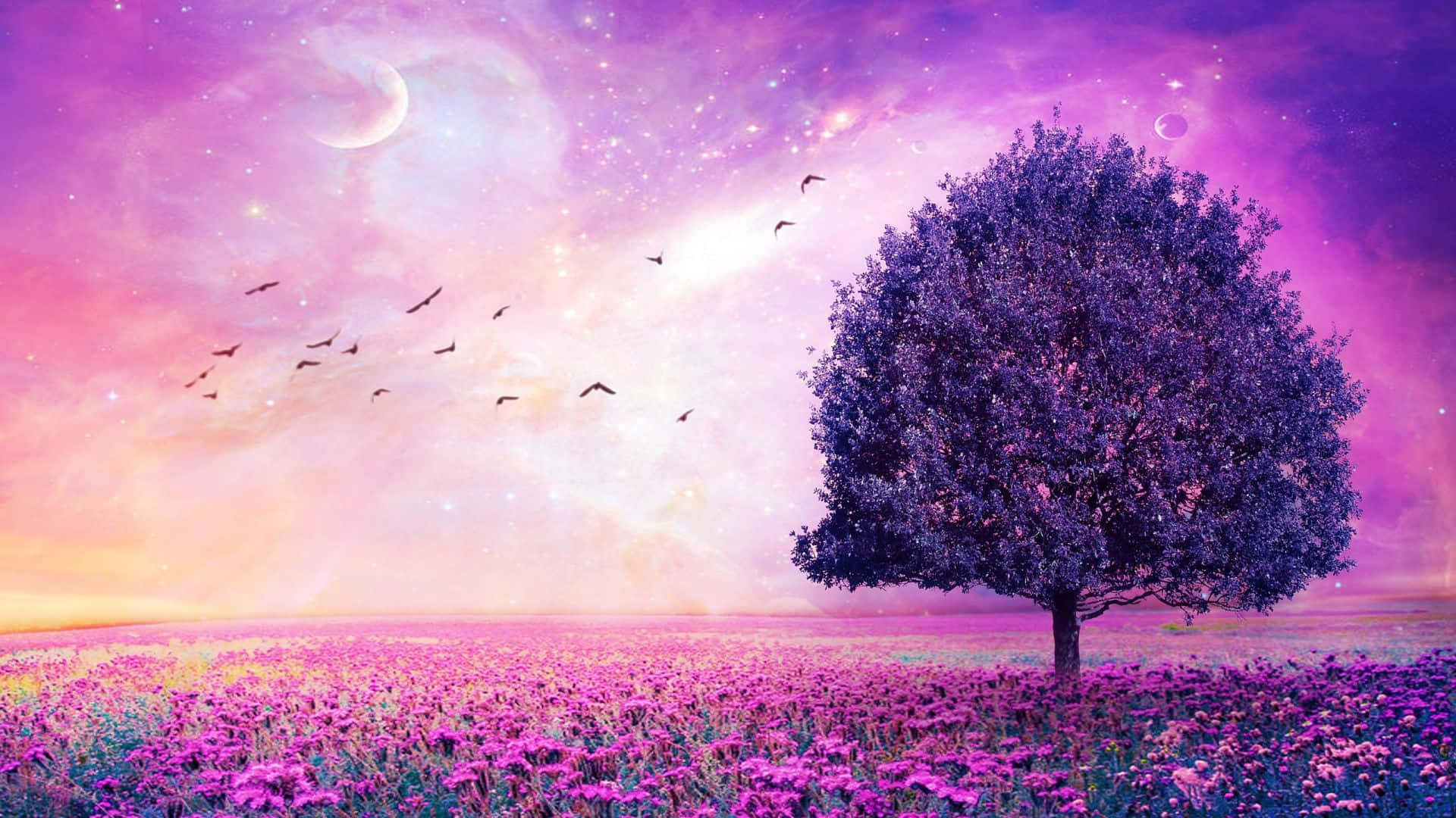 Pretty Purple Tree In A Field Of Flowers Wallpaper