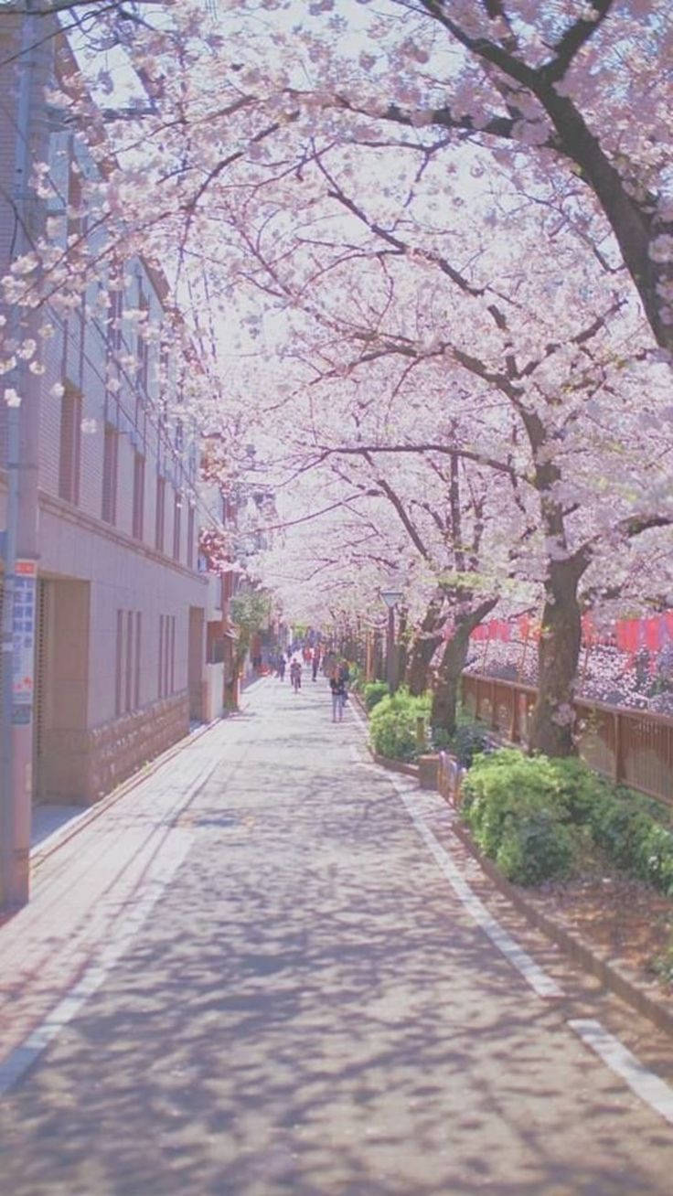 Smukke gader i Sydkorea Wallpaper