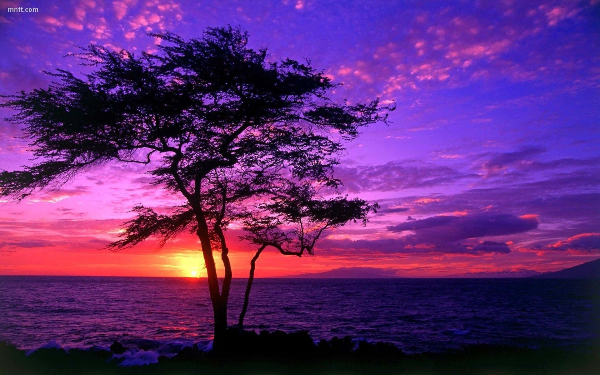Malerischeshübsches Sonnenuntergangsbild